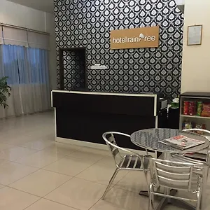酒店 雨林酒店